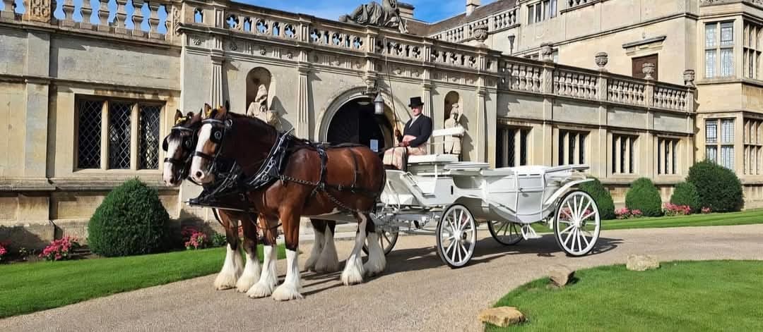 Glass fronted landau wedding carriage